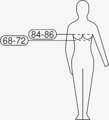 how bra size works